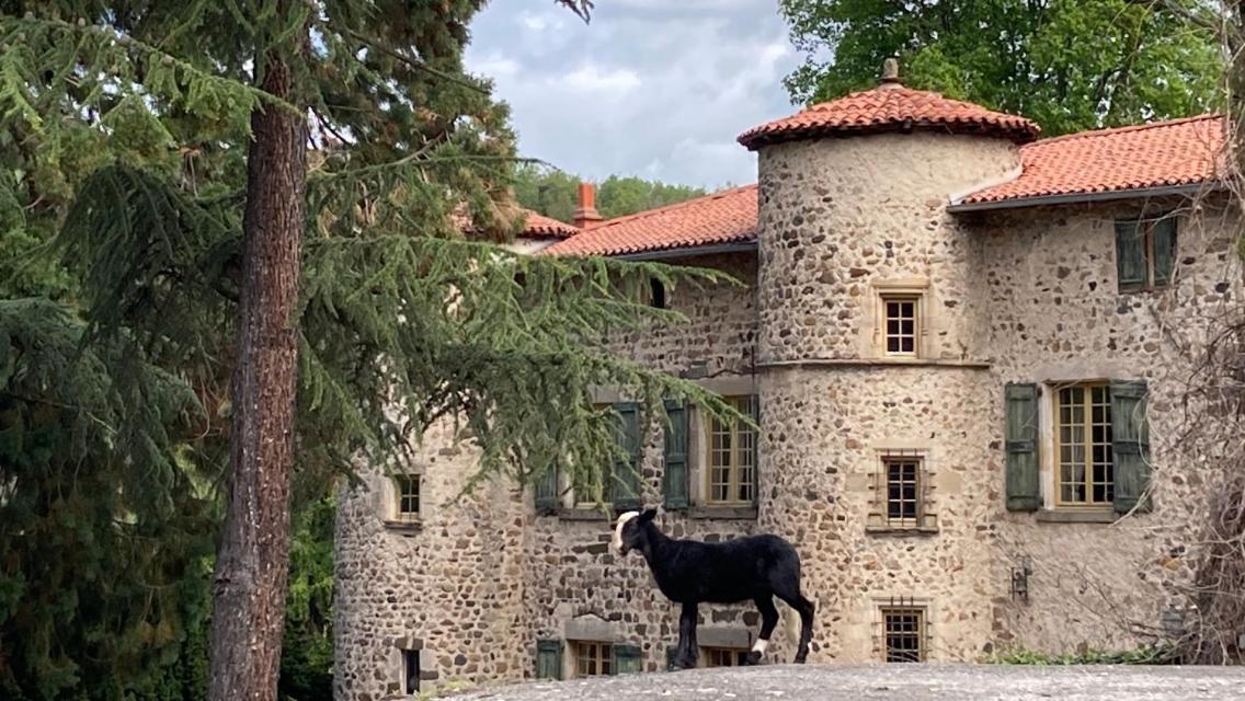 Chateau De Durianne Le Monteil  Eksteriør bilde