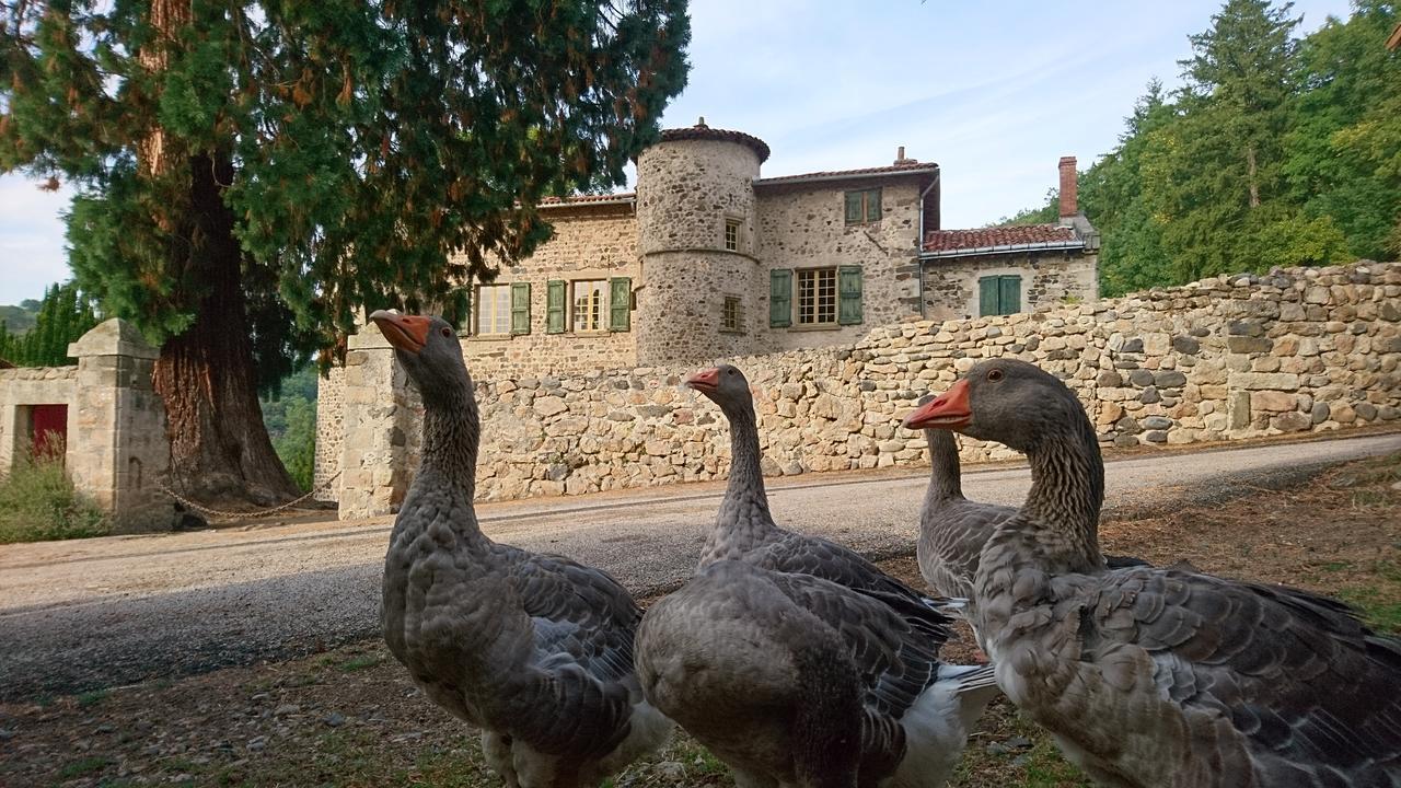 Chateau De Durianne Le Monteil  Eksteriør bilde
