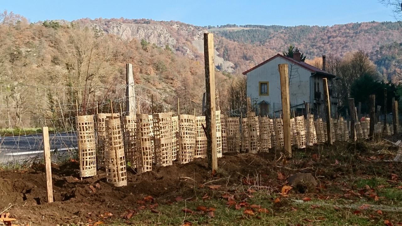 Chateau De Durianne Le Monteil  Eksteriør bilde